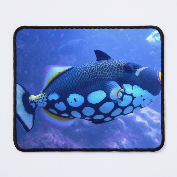 Item preview, Clown Triggerfish designed and sold by trendingatees.