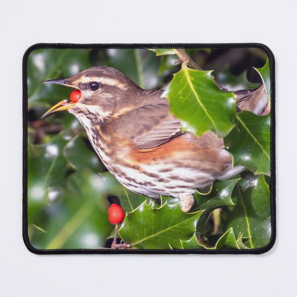 Item preview, Redwing bites berry designed and sold by George Kelsey.