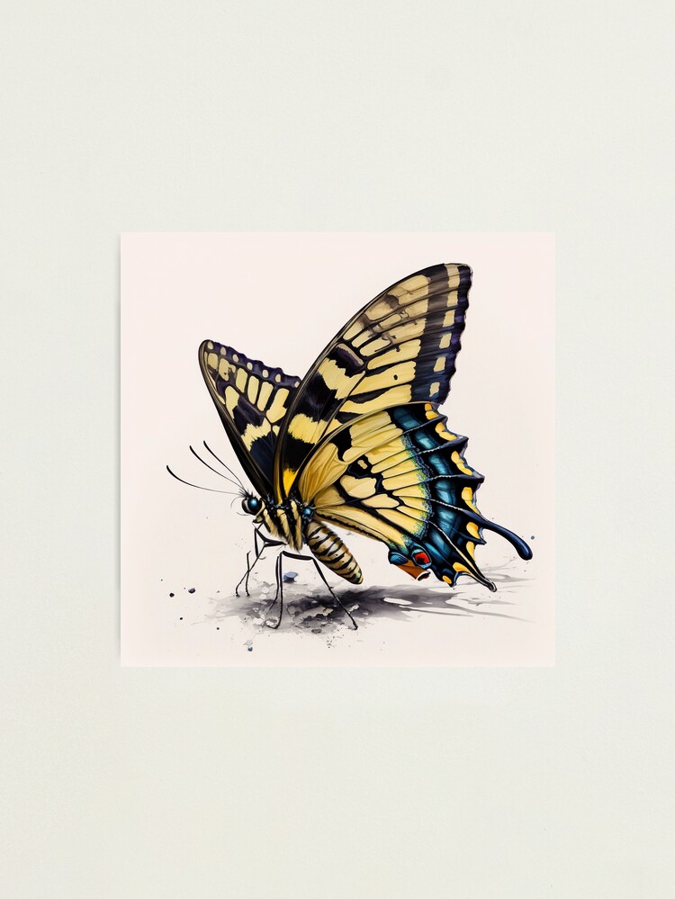 Tiger Swallowtail Butterfly 