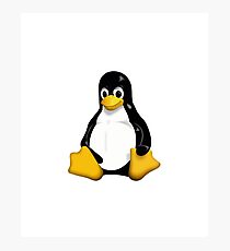 Tux Linux Photographic Print