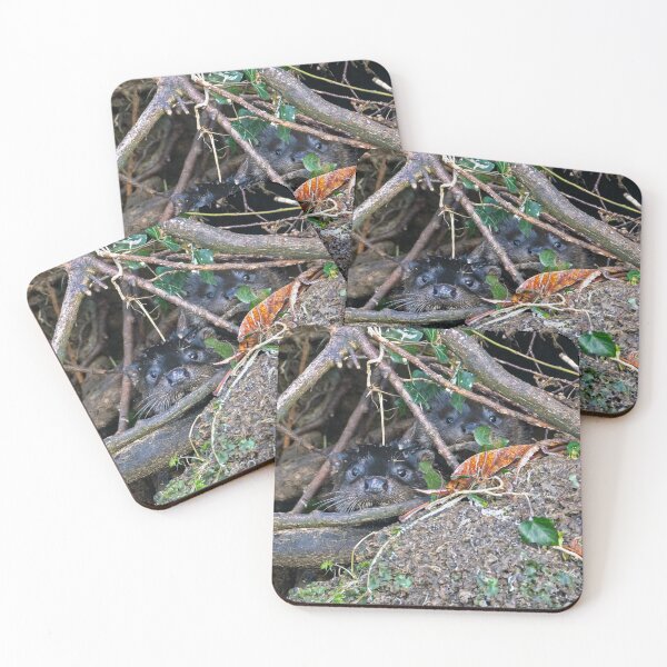 Item preview, Pair of Otters stay in hiding designed and sold by George Kelsey.