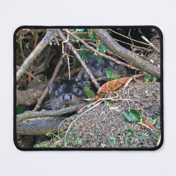 Item preview, Pair of Otters stay in hiding designed and sold by George Kelsey.