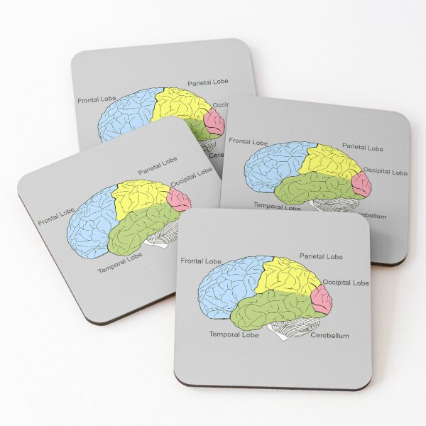 Item preview, Encephalon: Brain Regions !  designed and sold by joventinguarezi.