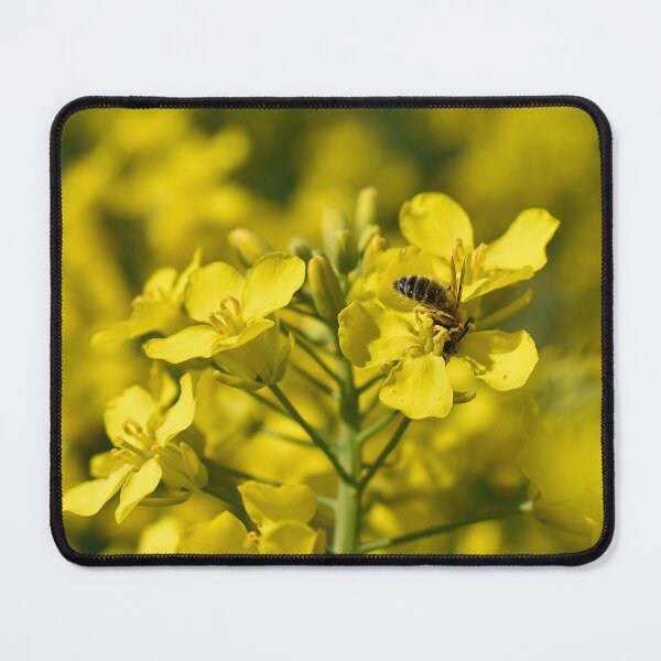 Item preview, Working bee on rapeseed  designed and sold by GabrielaMoments.