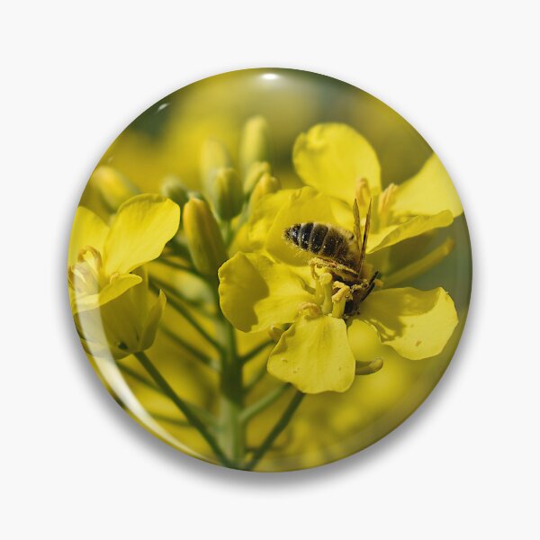 Item preview, Working bee on rapeseed  designed and sold by GabrielaMoments.