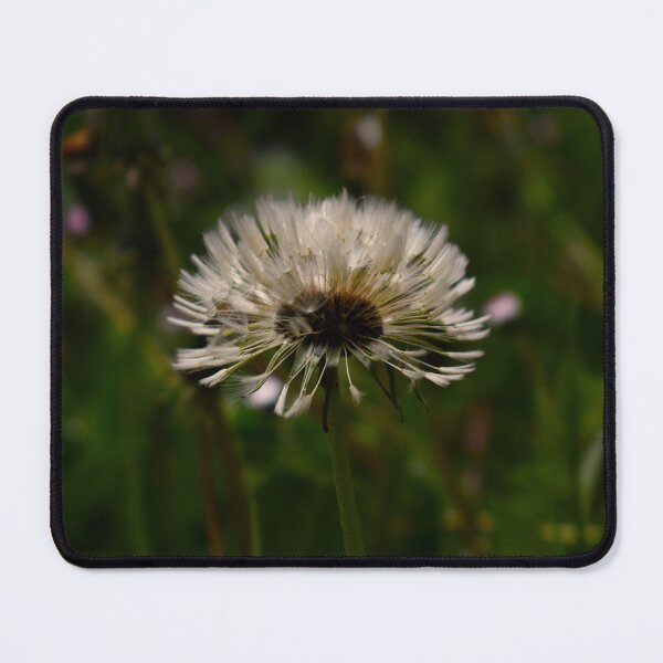 Item preview, Lonely dandelion after the rain designed and sold by GabrielaMoments.