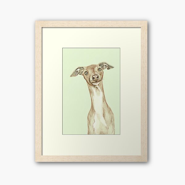Curious dog green background Framed Art Print