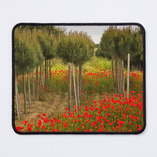 Item preview, Poppy Fields in Tuscany designed and sold by Viv Thompson Photography .
