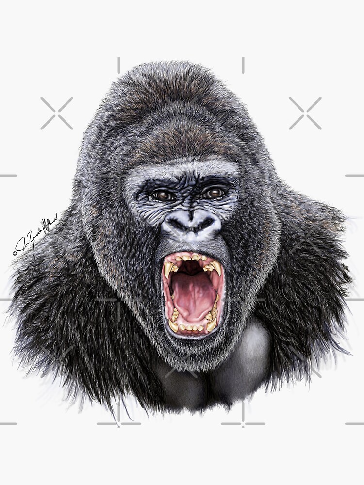 "Gorilla roaring drawing by Joan Zander Millard, ZeeeArts " Sticker for
