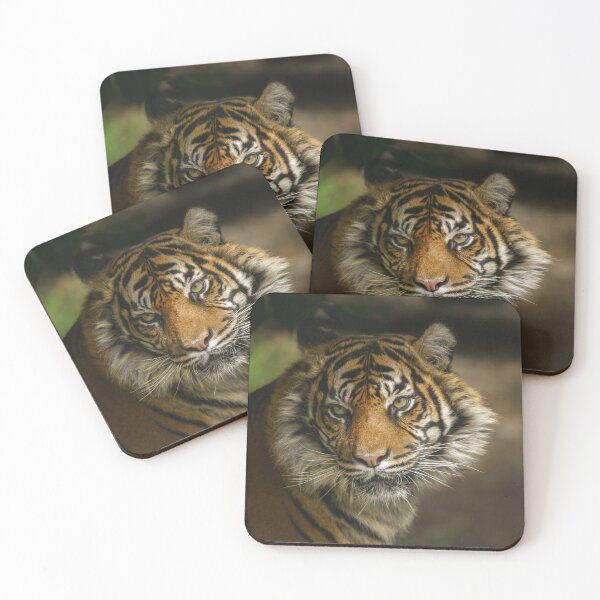 Item preview, Tiger Stare designed and sold by rawshutterbug.