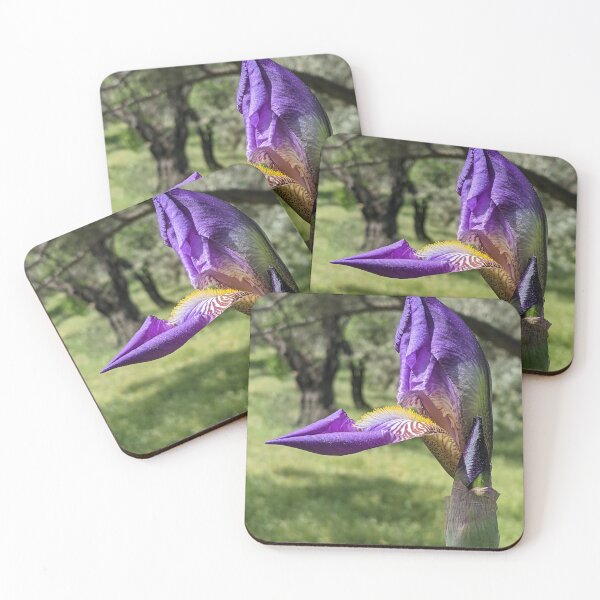 Item preview, Iris designed and sold by aeolia.