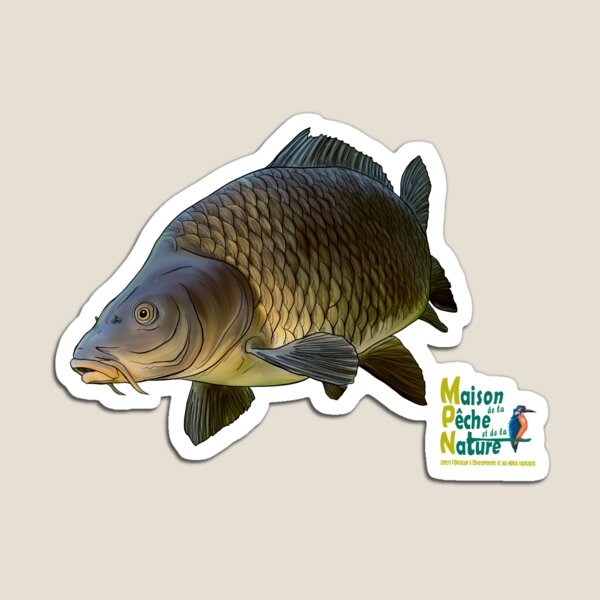 Carpe commune Magnet
