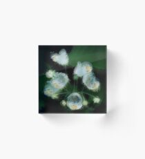 Bell Flowers. Acrylic Block