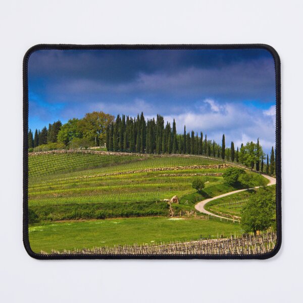Item preview, Vineyard in Tuscany designed and sold by Viv Thompson Photography .