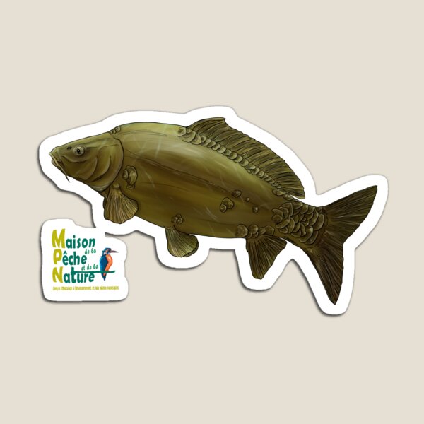 Carpe miroir Magnet