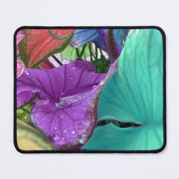 Item preview, Rainbow Caladiums designed and sold by lezell.