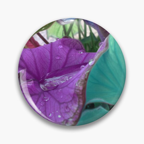 Item preview, Rainbow Caladiums designed and sold by lezell.