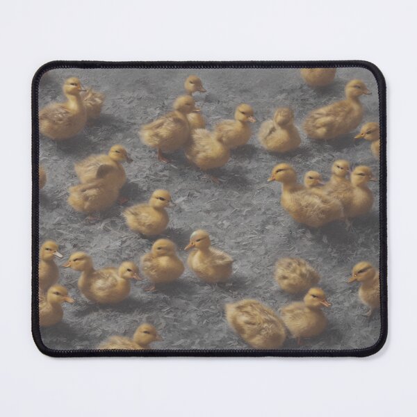 Item preview, Baby Duck Raft designed and sold by FamiliarPufferfish.