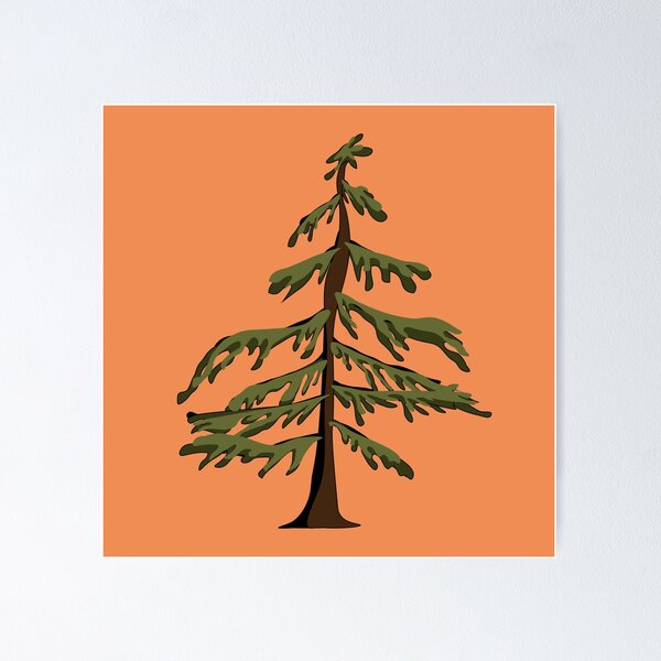 Washington State Tree - Western Hemlock