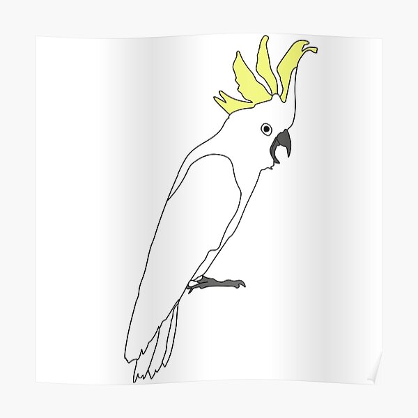 Funny Cockatoo Quote Posters for Sale | Redbubble