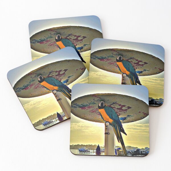 Item preview, Macaw Life designed and sold by JMSDreamer.