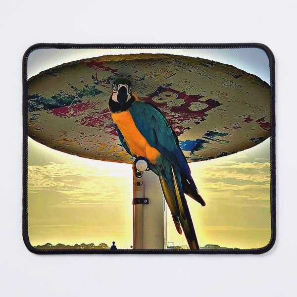Item preview, Macaw Life designed and sold by JMSDreamer.