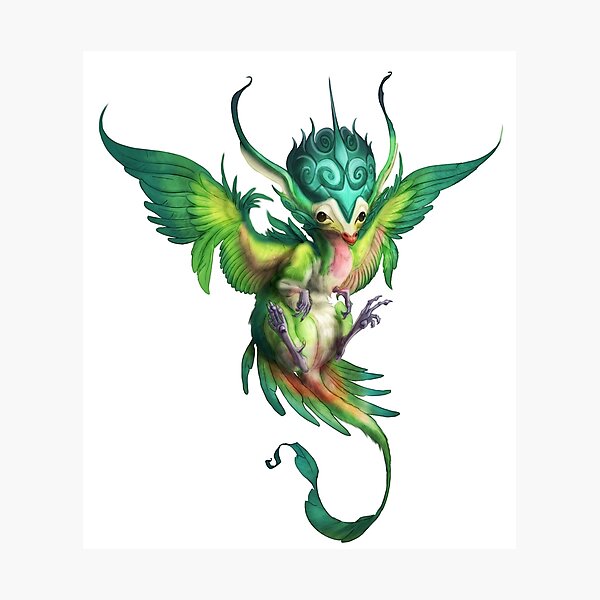 Little Princess Parrot Dragon Photographic Print