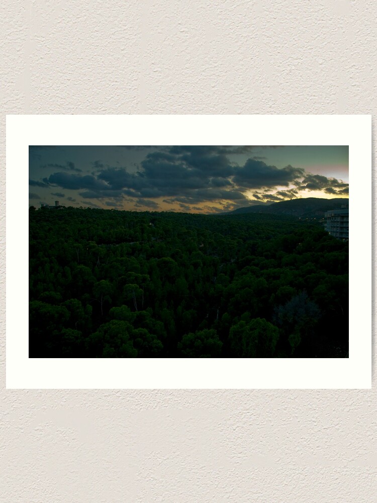 Alternate view of The Forest of Bellver Art Print