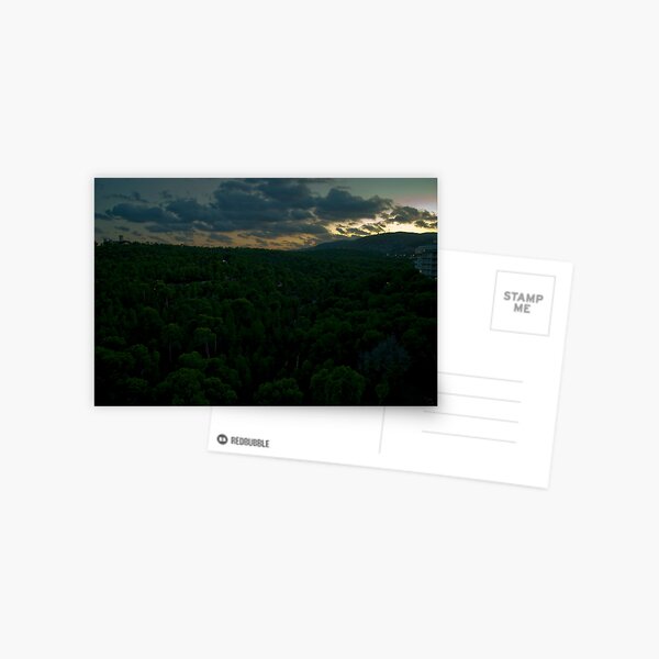 The Forest of Bellver Postcard