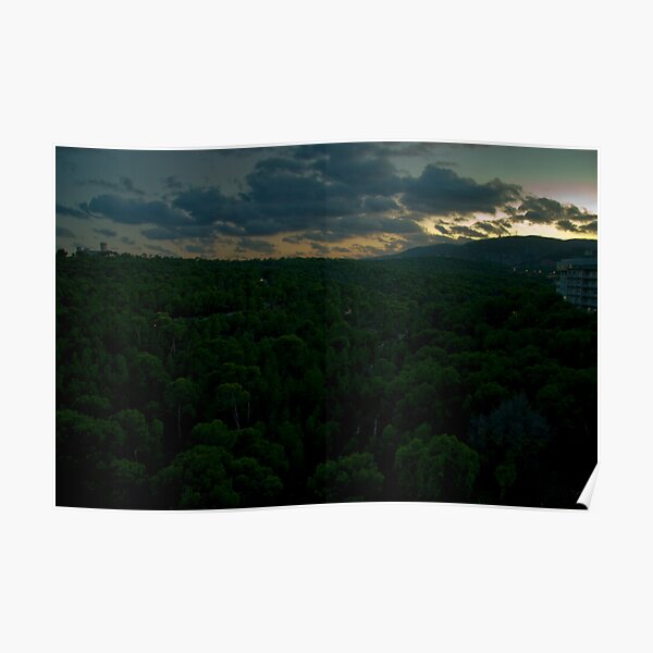 The Forest of Bellver Poster