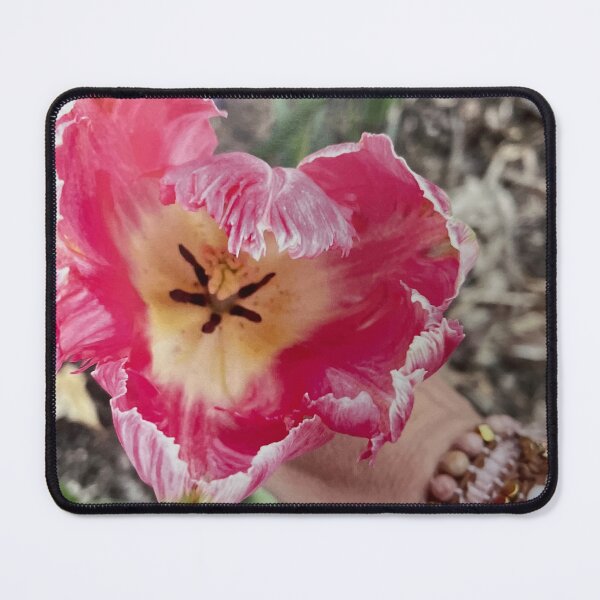 Item preview, Tulip Love designed and sold by TherapeuticNest.
