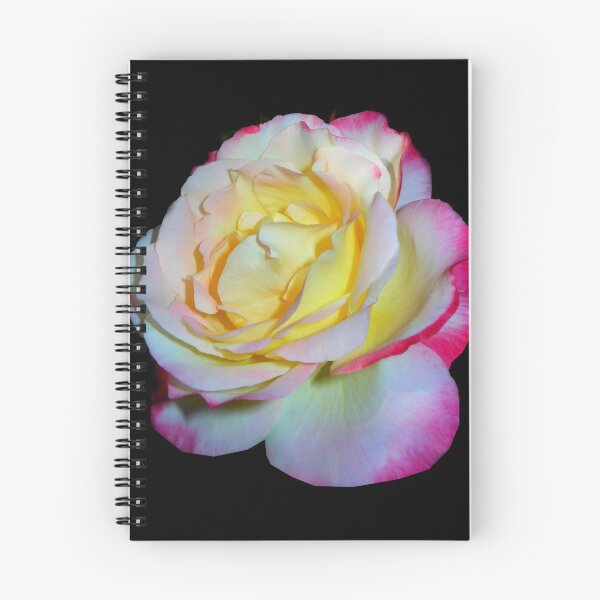 Item preview, double delight rose, black 11/24/17 designed and sold by Shellaqua.