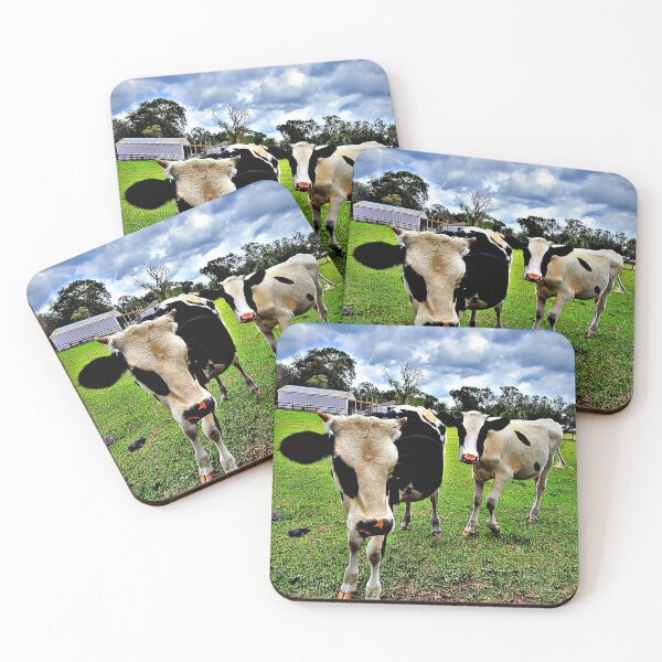 Item preview, Florida cows designed and sold by JMSDreamer.