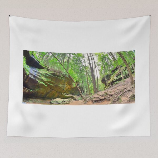 Item preview, Old Man's Gorge Trail Panorama  designed and sold by LisaWootenPhoto.