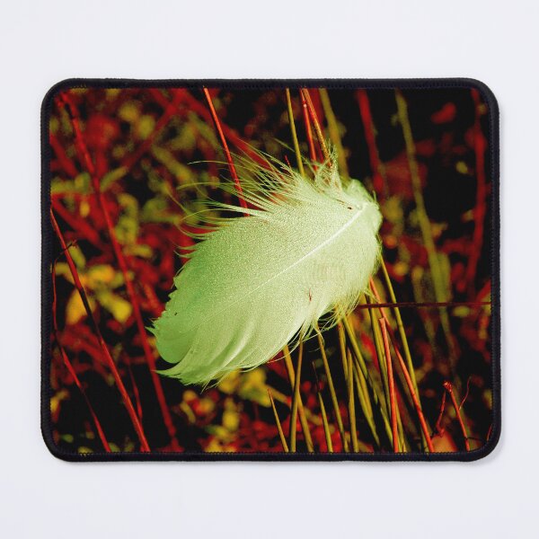 Item preview, the lost feather designed and sold by Sandy Maya's Artwork.