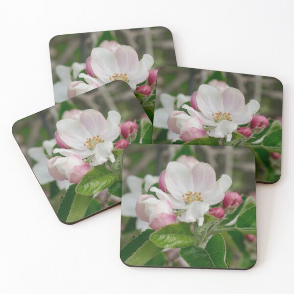 Item preview, Nature, Tree, Blossom, Bud, Europe, Switzerland, Thurgau, Photography, Bebicervin designed and sold by BebiCervin.