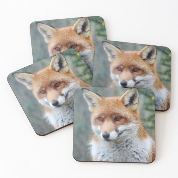 Item preview, A Gorgeous Red Fox designed and sold by Karen Thomson.