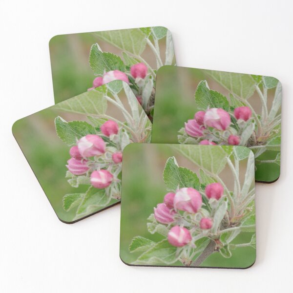 Item preview, Nature, Tree, Bud, Europe, Switzerland, Thurgau, Photography, Bebicervin designed and sold by BebiCervin.