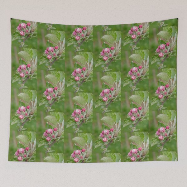 Item preview, Nature, Tree, Bud, Europe, Switzerland, Thurgau, Photography, Bebicervin designed and sold by BebiCervin.