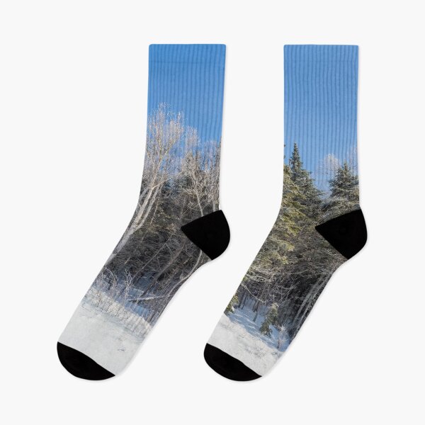 Item preview, Frozen Landscape with Evergreens and Birch Trees designed and sold by SafariByMarisa.