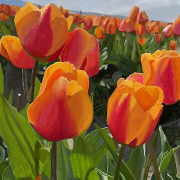 Artwork thumbnail, Tulips from Washington by KennyRays