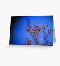 Challenge me Greeting Card