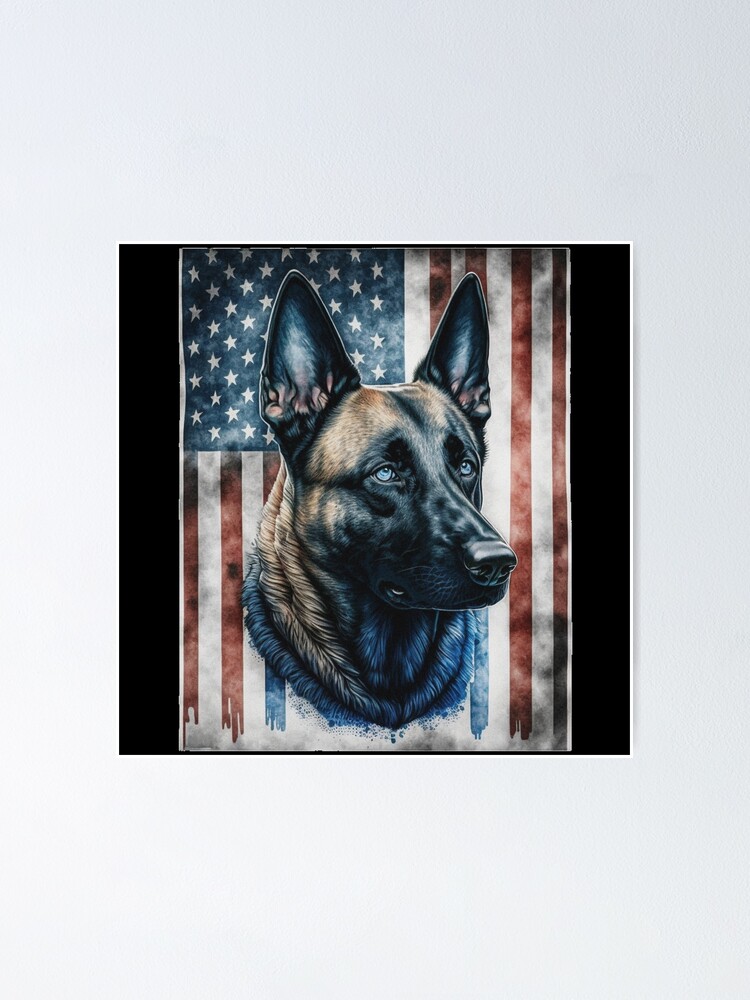 belgian shepherd Malinois lovers Poster for Sale by mikoala50 - Main Image