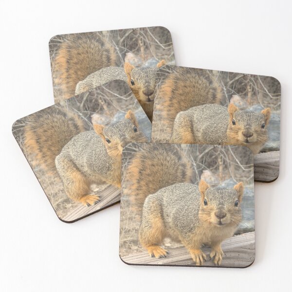 Item preview, Squirrel designed and sold by marisaj4488.