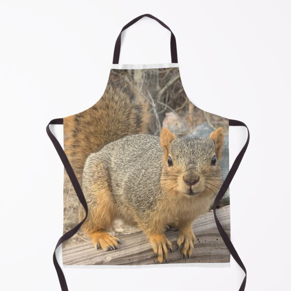 Item preview, Squirrel designed and sold by marisaj4488.
