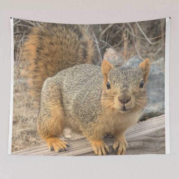 Item preview, Squirrel designed and sold by marisaj4488.