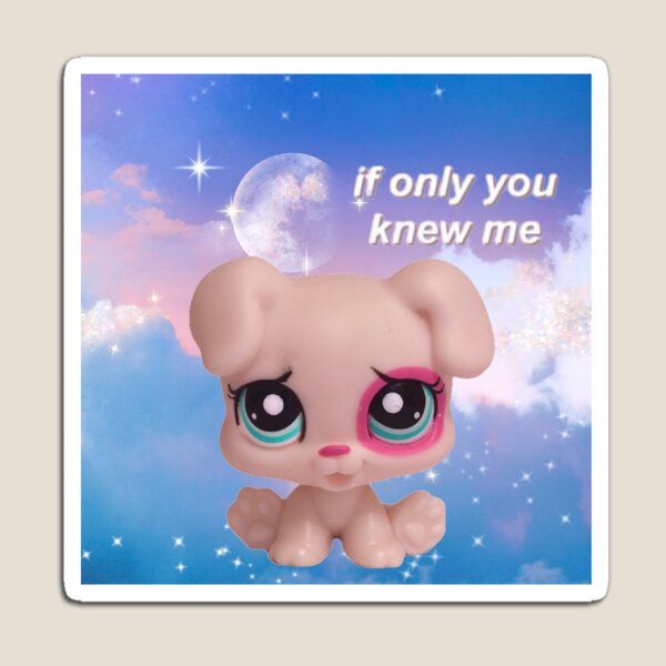 Littlest pet shop store you and me