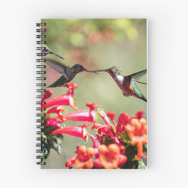 Item preview, JP Hummingbirds designed and sold by Thorbo99.