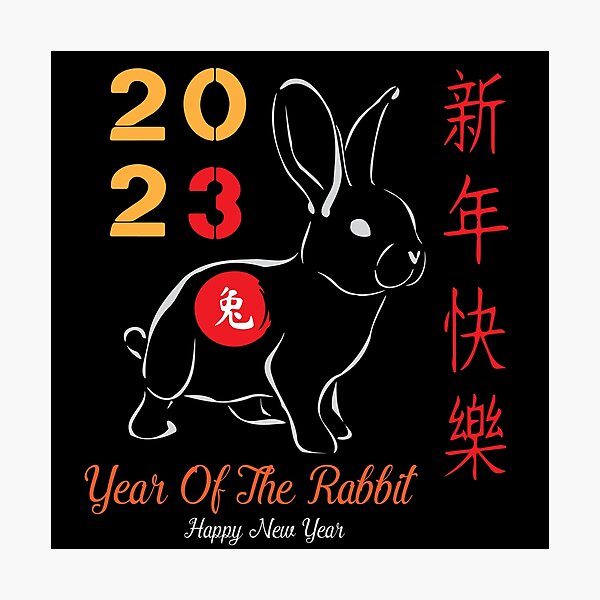 "Chinese Bunny Chinese Rabbit Chinese Zodiac 2023 New Years 2023 Water