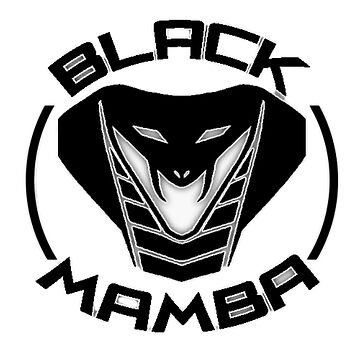 The Black Mamba :: Behance